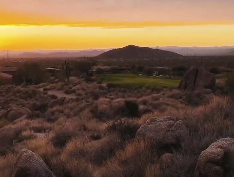 Arizona