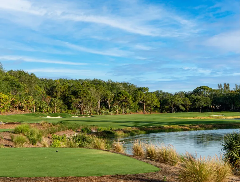 Collier's Reserve