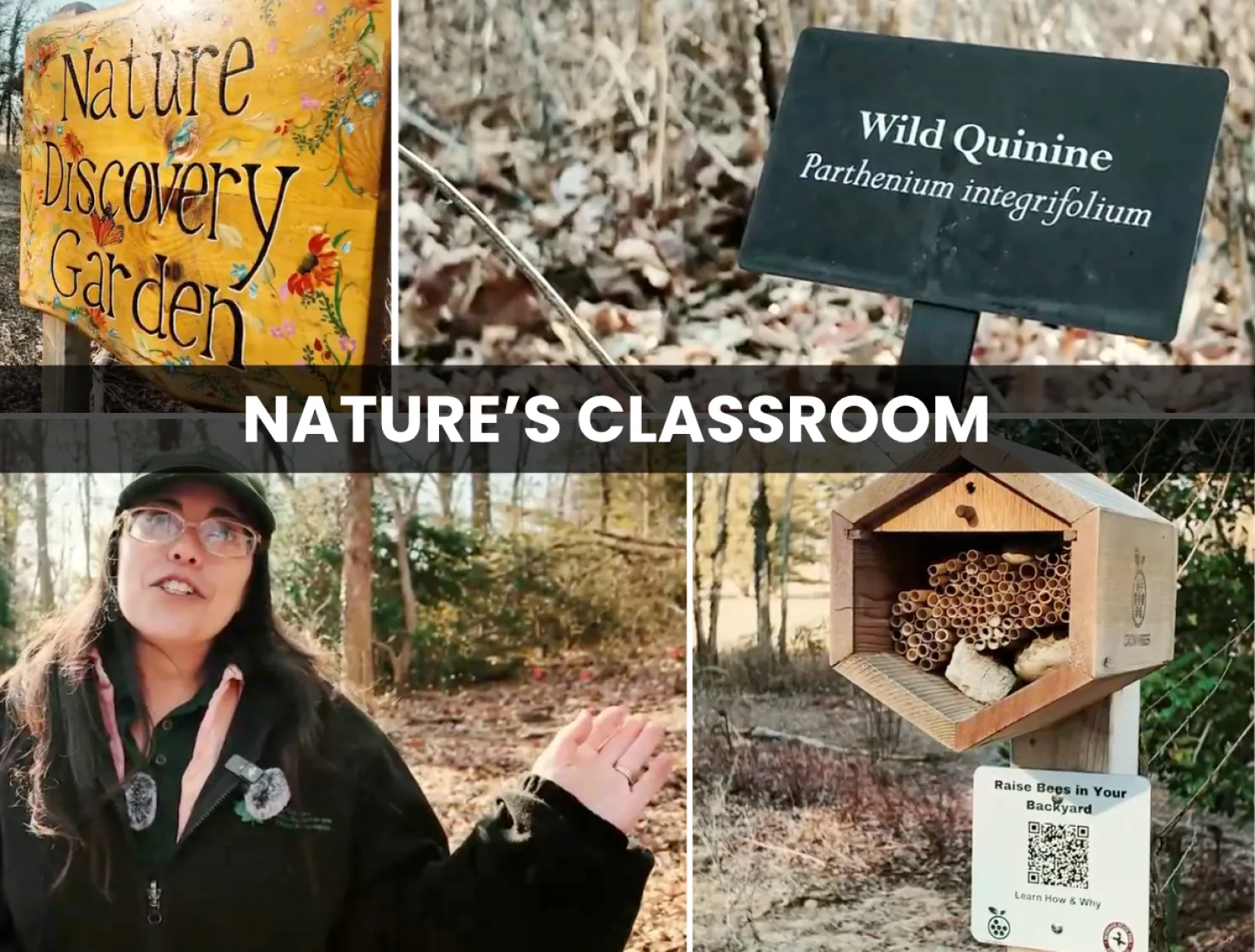 Nature's Classroom