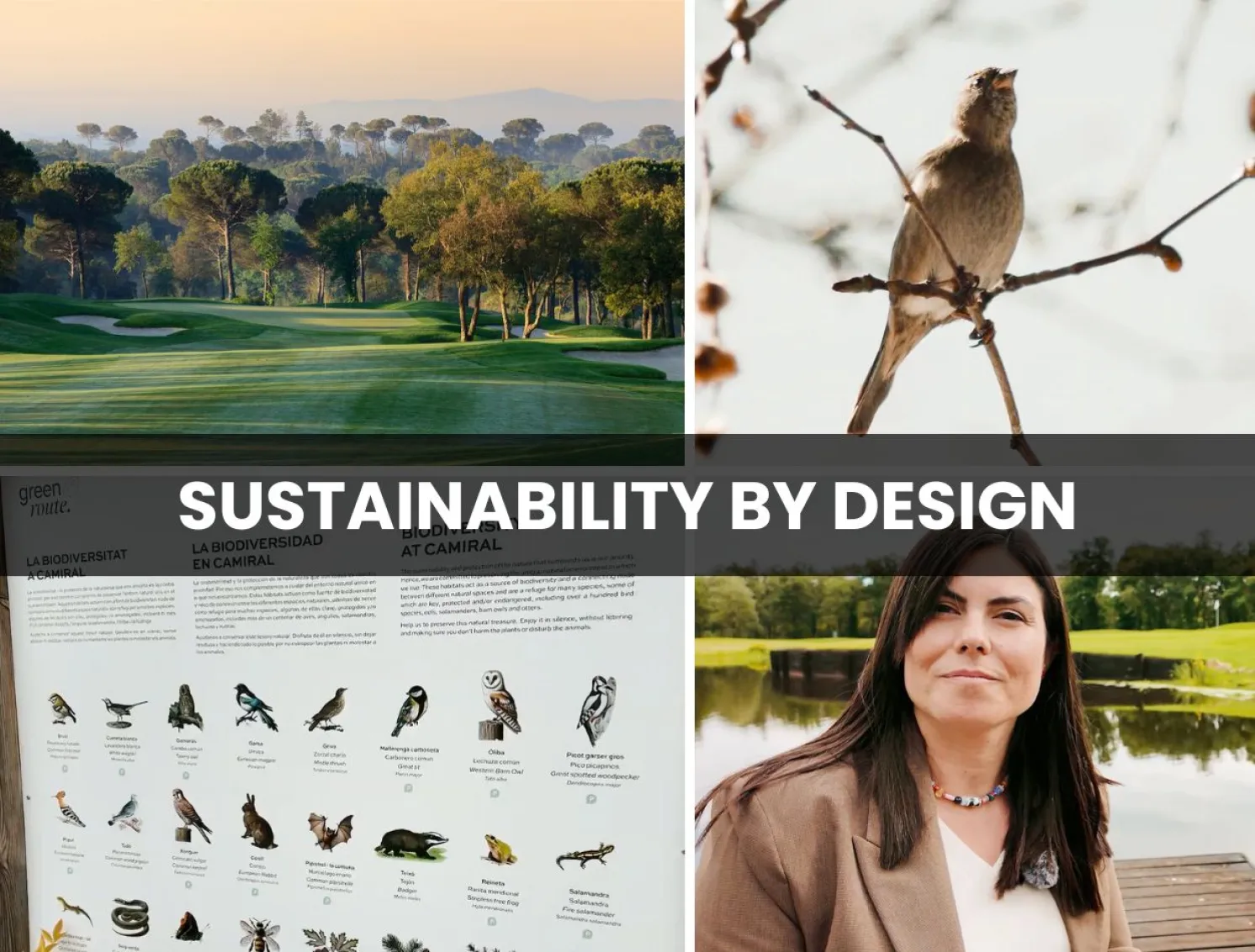 The Green Report Camiral Part 2