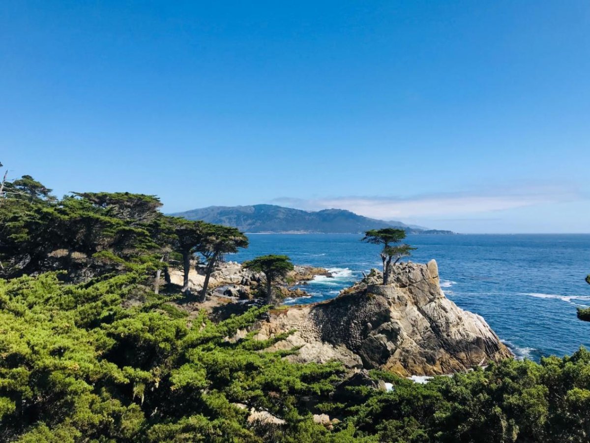 17-mile_drive_zhenrui-mei-yzypjicgego-unsplash.jpg