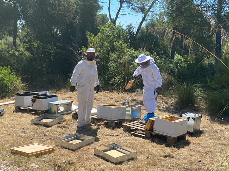 Beekeepers at Club de Golf Alcanada