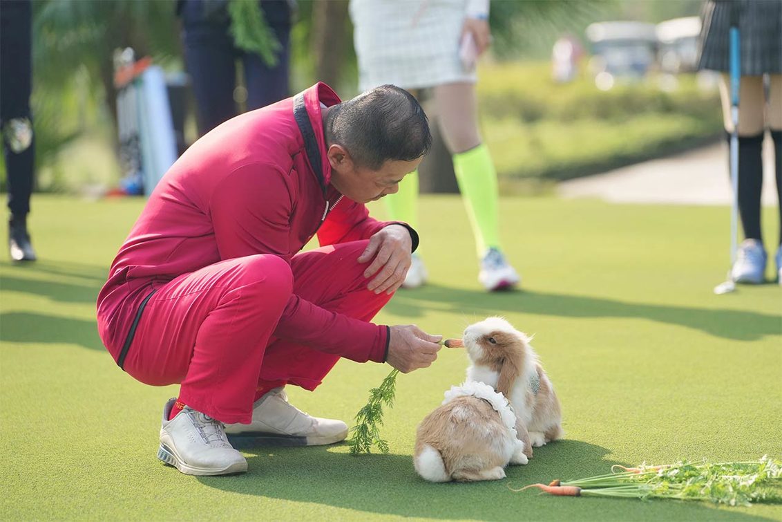 Xili Golf member feeds a rabbit on a golf green